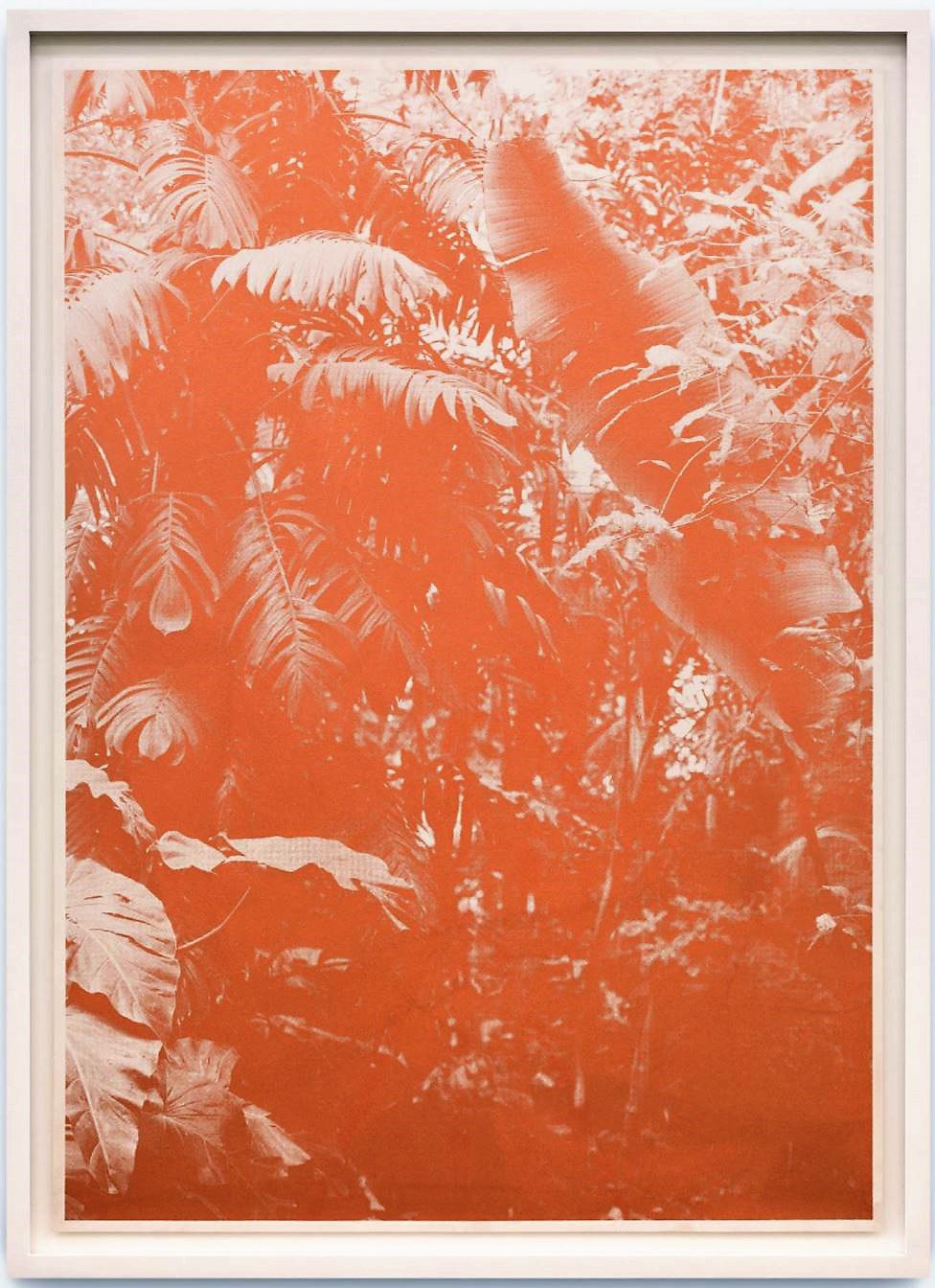 Roman Moriceau – Botanische Garten (Meise) III 2016 102×72 ed.3