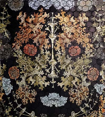 Repairing with Lichen - Artwork ‘One and the Care of Many’ by penelope Cain