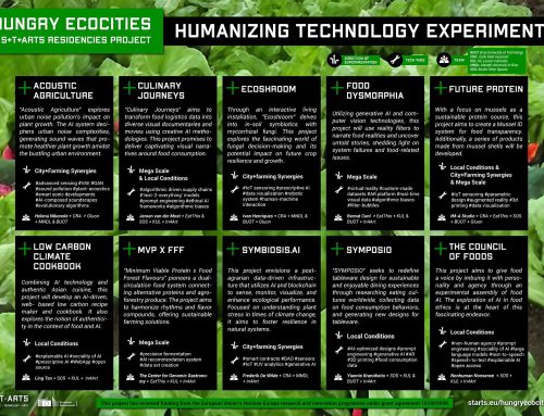 S+T+ARTS Hungry EcoCities: the Humanizing Technology Experiments winners